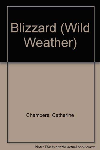 9781403401106: Blizzard (Wild Weather)
