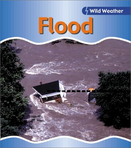 9781403401120: Flood (Wild Weather)