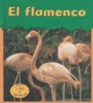 9781403404046: El Flamenco / Flamingo