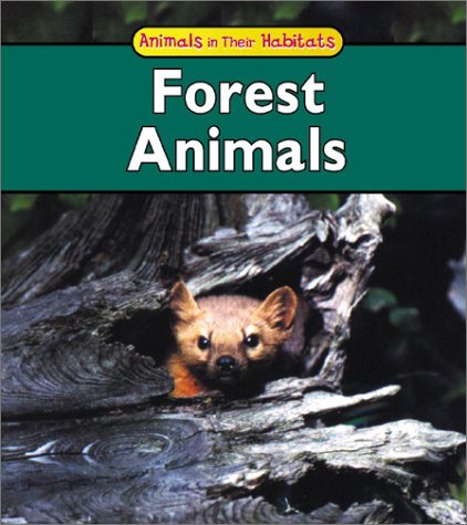 Stock image for Forest Animals for sale by Better World Books