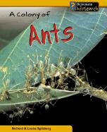 A Colony of Ants (Animal Groups) (9781403407412) by Spilsbury, Richard; Spilsbury, Louise