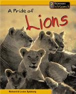 Beispielbild fr A Pride of Lions zum Verkauf von Better World Books