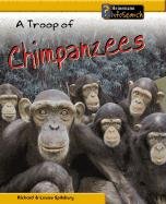 9781403407467: A Troop of Chimpanzees (Animal Groups)