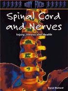 Stock image for Spinal Cord and Nerves for sale by Better World Books