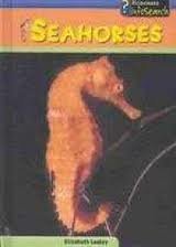 Imagen de archivo de Seahorses a la venta por ThriftBooks-Dallas