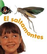 9781403430120: El Saltamontes / Grasshopper (Los Insectos)