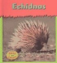 Imagen de archivo de Echidnas a la venta por Library House Internet Sales
