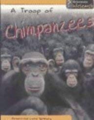 9781403432889: A Troop of Chimpanzees (Animal Groups)