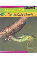 The Life Cycle of Insects (From Egg to Adult) (9781403434067) by Spilsbury, Richard; Spilsbury, Louise