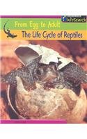 Beispielbild fr The Life Cycle of Reptiles zum Verkauf von Better World Books