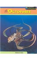 9781403435637: Octopuses (Sea Creatures)