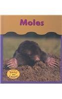 Moles (Heinemann Read and Learn) (9781403443175) by Whitehouse, Patricia