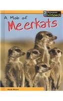Stock image for A Mob of Meerkats for sale by ThriftBooks-Atlanta