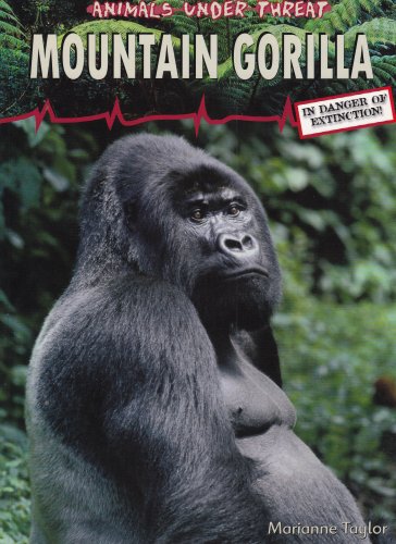 Beispielbild fr Mountain Gorilla zum Verkauf von Better World Books