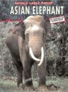 Stock image for Asian Elephant for sale by Better World Books: West
