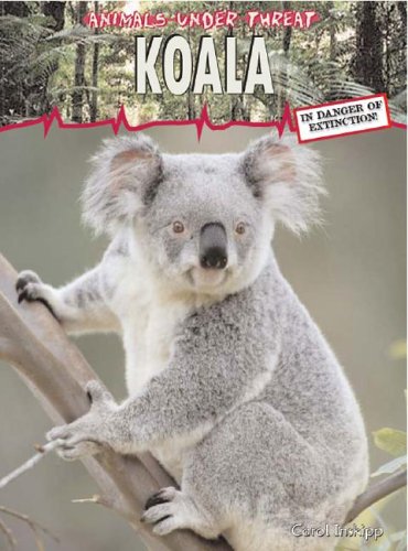 Beispielbild fr Koala (Animals Under Threat) zum Verkauf von Orion Tech