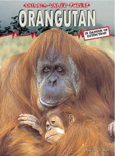 Stock image for Orangutan (Animals Under Threat) for sale by More Than Words