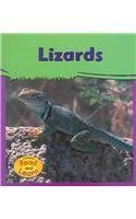 9781403457356: Lizards (My Big Backyard)
