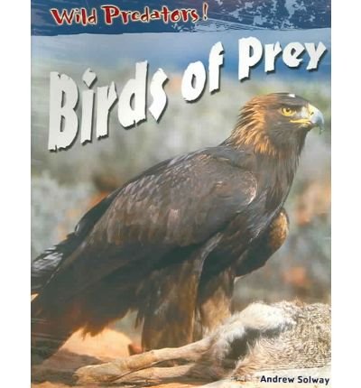 Stock image for Birds of Prey for sale by Black and Read Books, Music & Games