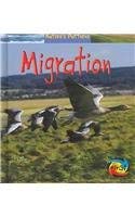 Beispielbild fr Migration (Natures Patterns) zum Verkauf von BookShop4U