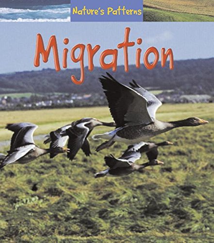 9781403458858: Migration (Nature's Patterns)