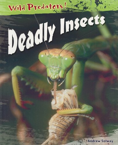 Deadly Insects (Wild Predators) (9781403465726) by Solway, Andrew