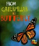 9781403478559: From Caterpillar to Butterfly (Heinemann First Library)