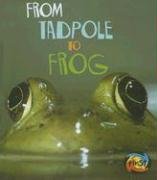 Stock image for From Tadpole To Frog for sale by Library House Internet Sales