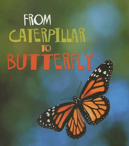 9781403478641: From Caterpillar to Butterfly (How Living Things Grow)