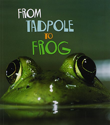 9781403478689: From Tadpole to Frog (How Living Things Grow)