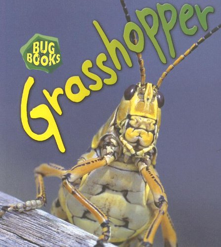 9781403483102: Grasshopper (Bug Books)