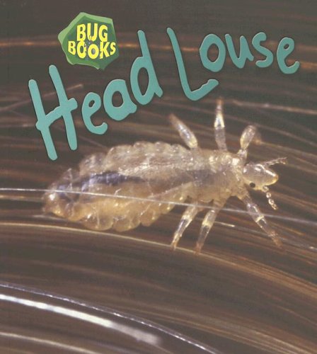 9781403483119: Head Louse (Bug Books)