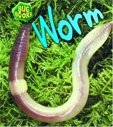 Worm (Bug Books) (9781403483164) by Bailey, Jill
