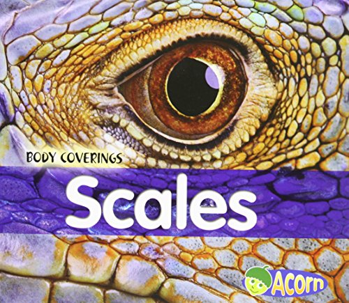 9781403483805: Scales