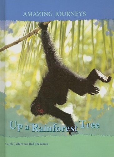 Beispielbild fr Up a Rainforest Tree zum Verkauf von Better World Books