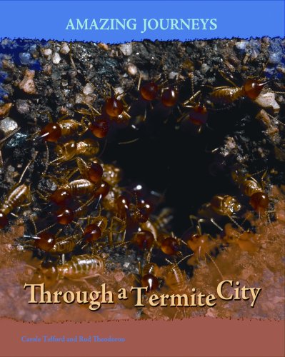 Stock image for Through a Termite City (Amazing Journeys) for sale by SecondSale