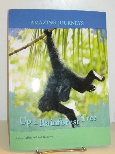 9781403488008: Up a Rainforest Tree (Amazing Journeys/2nd Edition)