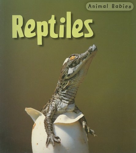 Reptiles (Animal Babies) (9781403492531) by Theodorou, Rod