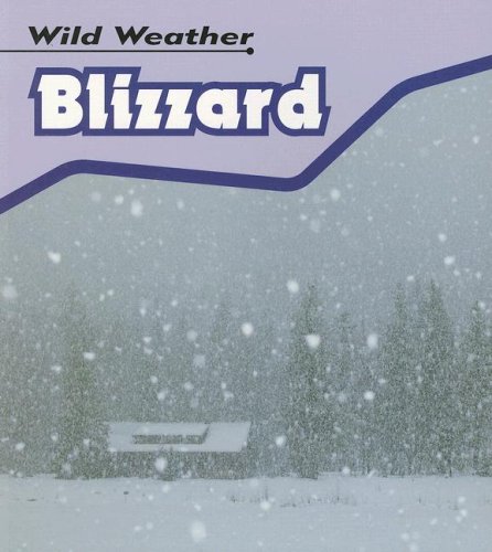 9781403495846: Blizzard (Wild Weather)