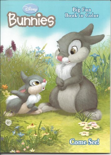 Stock image for Disney Bunnies Big Fun Book to Color (Cover art Varies) for sale by Reliant Bookstore