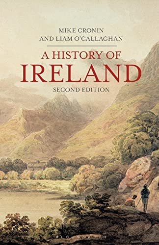 Stock image for A History of Ireland (Palgrave Essential Histories series) for sale by Chiron Media