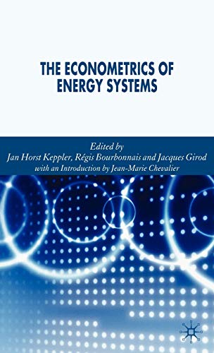 9781403987488: The Econometrics of Energy Systems