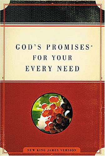 9781404113534: God's Promises for Your Every Need