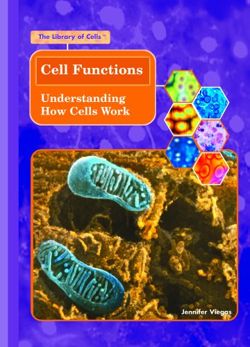 Stock image for Cell Functions : Understanding How Cells Work for sale by Better World Books