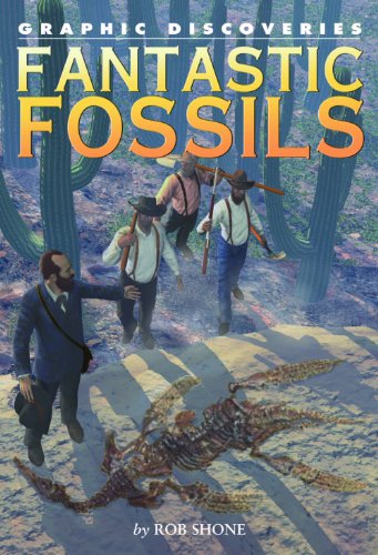 Stock image for Fantastic Fossils for sale by Better World Books