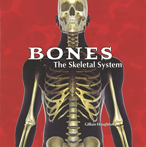 Beispielbild fr The Skeletal System zum Verkauf von Better World Books