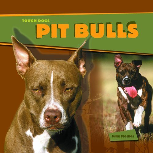 9781404231177: Pit Bulls (TOUGH DOGS)