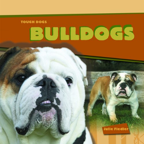 9781404231191: Bulldogs (TOUGH DOGS)