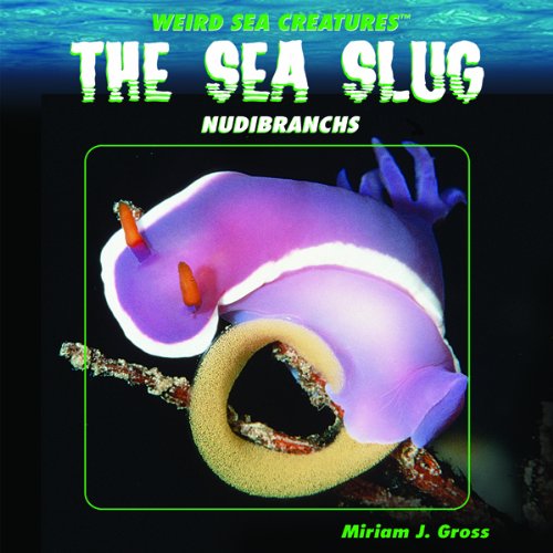 Beispielbild fr The Sea Slug : Nudibranchs zum Verkauf von Better World Books