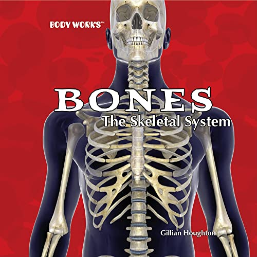 Beispielbild fr Bones: The Skeletal System (Body Works) zum Verkauf von ThriftBooks-Dallas